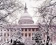 U.S. Capitol in Snow Photograph - Beautiful 16"x20" Photographic Print by Carol M. Highsmith