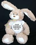 Plush Stuffed Bunny (Molasses) toy with Your comment cheered me up. T-Shirt