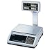 CAS S-2000 Jr Price Computing Scale with LCD/Pole Display 30 lbs