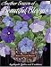 Another Season of Beautiful Blooms: Appliqued Quilts and Cushions