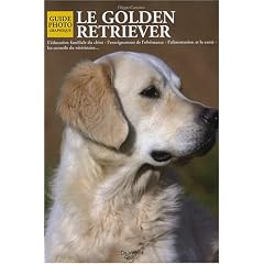 Le Golden retriever