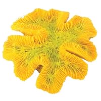 Design Elements Yellow Coral Aquarium Ornament Size: 6.1' H