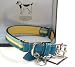 AUTHENTIC COACH STRIPE LEATHER DOG COLLAR with CHARM 60407 (Small)