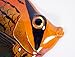 XL Handpainted Antique Color Tropical Fish Replica Wall Plaque, 12 x 12 inches, Unframed, Wall Mount, Modern, Contemporary, Living Room, Bedroom
