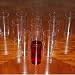 Disposable Plastic Straight Wall Shooter Cups - 5 oz: Pack of 12 Cups