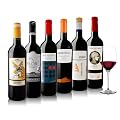 Spanische Trendweine 6er Vino-Tinto-Paket