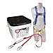 Harness and Lanyard Kit, Univ., 310 lb.