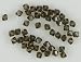48 4mm Swarovski crystal bicone 5301 Smoky Quartz beads