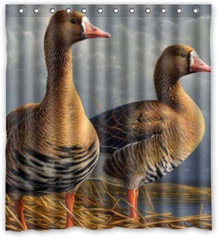 TT Family Window Curtain Creative Home Ideas Oil Painting Mandarin Duck Art Fowl Bird Animal Fabric with Rings 52"x63" (One Piece)