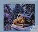Seasonal Splendor 1000 Piece Puzzle - Banff National Park, Alberta, Canada
