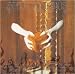 Music : Inexperienced Spiral Traveller