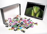 Photo Jigsaw Puzzle of CA, Panama, Barro from Danita Delimont