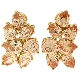 Sterling Silver Champagne Cubic Zirconia Multi-Stone Earrings by Charles Winston