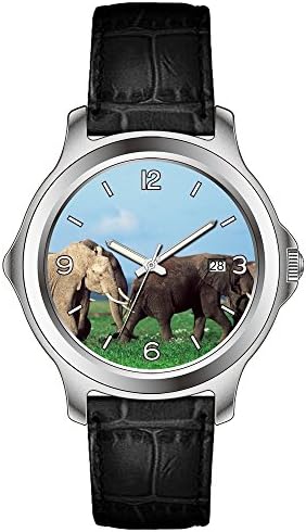 lvlp Men's Sentry 42mm Stainless Steel Leather Quartz Movement Watch &amp;95