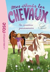 Mes Amis Les Chevaux Tome 1 Un Nouveau Pensionnaire Babelio