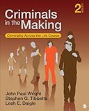 Criminals in the making : criminality across the life course
