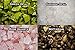 Fantasia Materials: 2 Pounds of a 12 Stone Mix from Madagascar