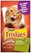 Friskies Cat Treats Crunchy Indoor Chicken Flavor, 2.1-Ounce Pouches (Pack of 20)