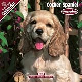 Cocker Spaniel Puppies 2009 Wall Calendar
