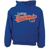 Florida adidas Big Kids NCAA Slant Script Hoody
