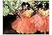 Edgar Degas (The Dancers) Art Poster Print 19 x 13in