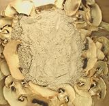 Champignon (White Button Mushroom) Powder