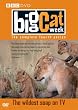 Big Cat Week - Series 4 [DVD]