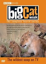 Big Cat Week - Series 4 [DVD]
