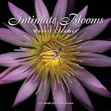 (12x12) Intimate Blooms Robert Creamer 16-Month 2012 Linen Wall Calendar