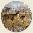 Deer, Our Side Of The River Auto Coaster, Single Coaster for Your Car