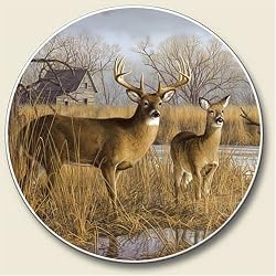 Deer, Our Side Of The River Auto Coaster, Single Coaster for Your Car