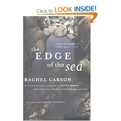 The Edge of the Sea