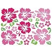 transForms Removable Rub-On Wall Transfers: Aloha