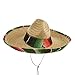 Jacobson Hat Company Men's Sombrero with Serape Band, Multicolor, Child