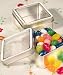 Clear Top Mint Tin Favors