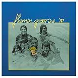 Flamin` Groovies-70-Collection