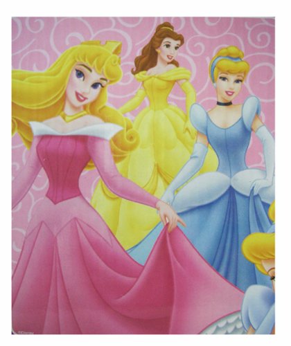 where can you buy Disney Princess Raschel Plush Throw Blanket – Princess Blanket Dazzling Dovas on line