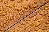 Pattern on Oakwood - 18W x 12H - Peel and Stick Wall Decal by Wallmonkeys