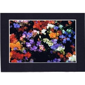 Picturesque Bouquet 4x6 Color Photo in Black 5x7 Mat