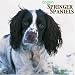 English Springer Spaniels 2008 Wall Calendar