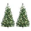 Philips LED Evergreen Stakes - White (2 pk)