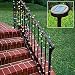 Outdoor Living : SOLAR POWERED XMAS LIGHTS MULTI