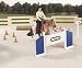 Breyer Trail Class Set