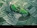 Ilot Dans Les Rizieres En Terrasse De Ba - Artist: Yann Arthus-Bertrand - Art Print Poster Size: 31.50 by 23.50 inches