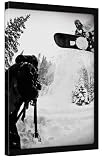 VAS Entertainment Forever Snowboard DVD by Forum
