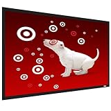 Screen Innovations 100 Fixed Projector Screen- Matte White(TZ100)