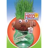 Grow-a-head Greetings
