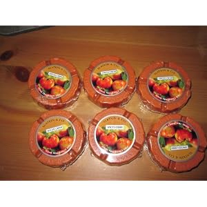 Slatkin and Co Spiced Cider Home Fragrance Disc Bundle of 6