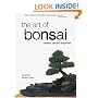 The Art of Bonsai: Creation, Care and Enjoyment
