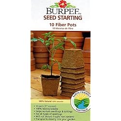 10 Burpee Fiber Seed Starting Peat Pots 3" Square